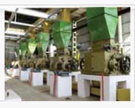 Seed Preparation Equipment